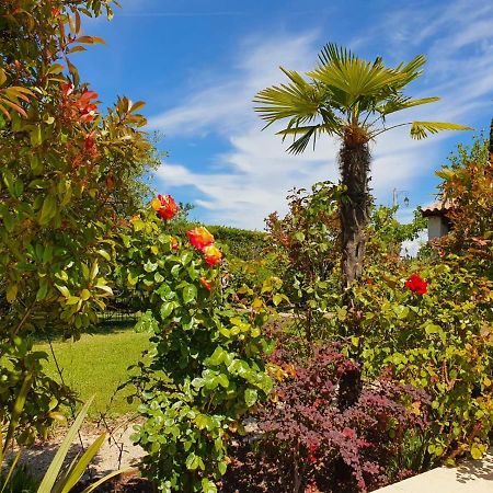 La Cabane Du Pesquier En Provence Caumont-sur-Durance 外观 照片