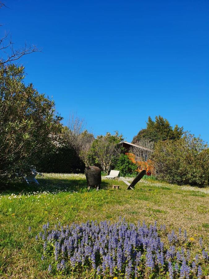 La Cabane Du Pesquier En Provence Caumont-sur-Durance 外观 照片