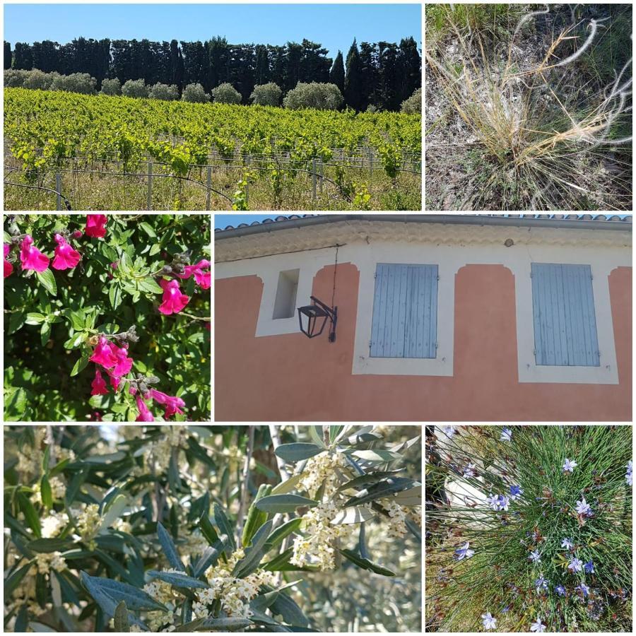 La Cabane Du Pesquier En Provence Caumont-sur-Durance 外观 照片